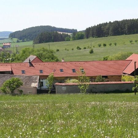 Podkrovi V Jihoceskem Statku Nemejice 外观 照片